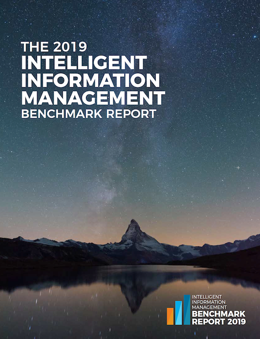 IIM Benchmark Report Front Page Picture